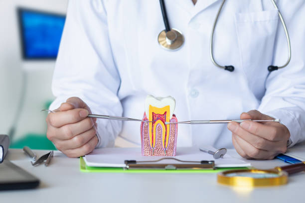 Best Emergency Treatment for Dental Infections or Abscesses in Montour Falls, NY